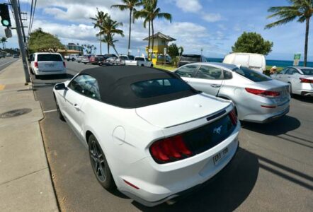Visitor paid parking program to start in 2023